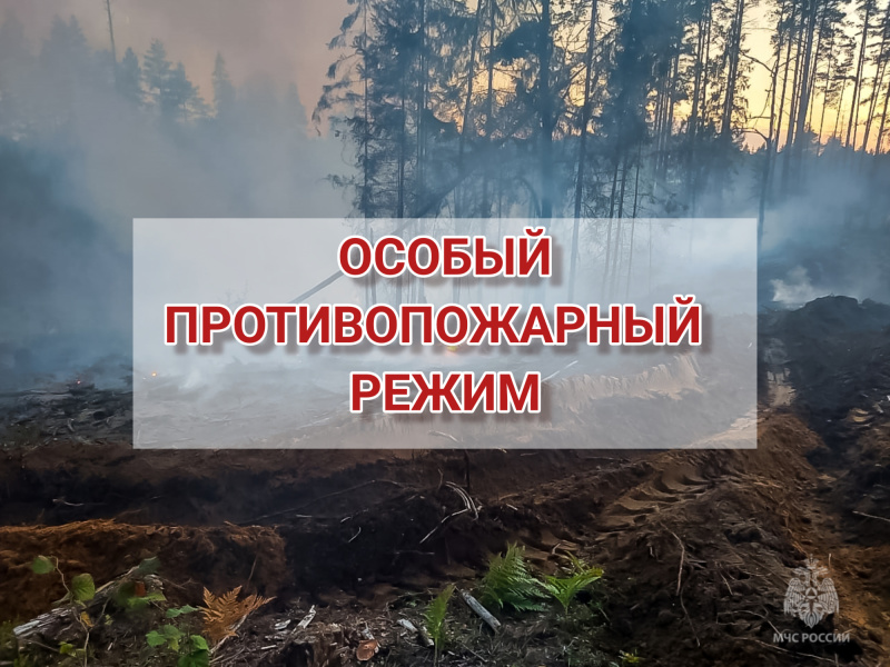 На территории Красноярского края введен особый противопожарный режим!.